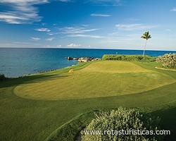 The Emerald Reef Golf Club