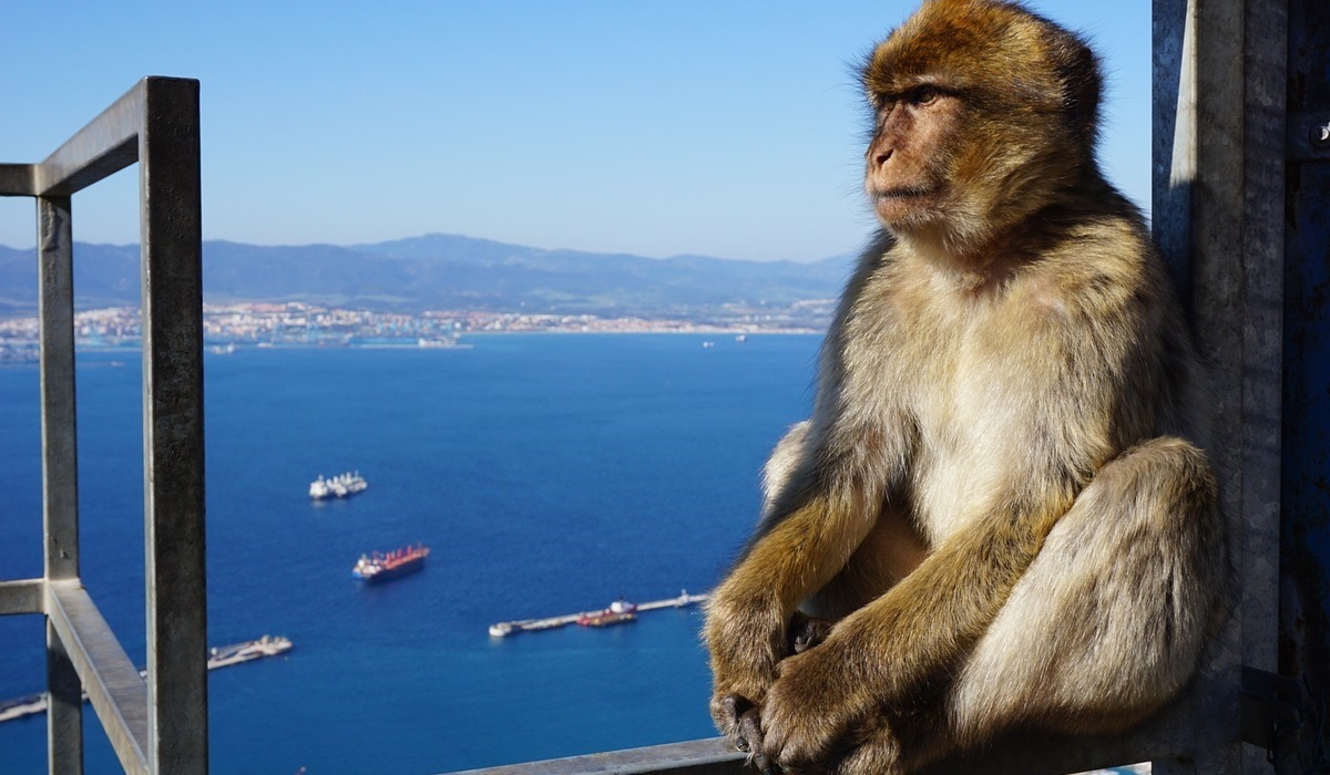 Excursión de 1 día a Gibraltar con salida de Lagos